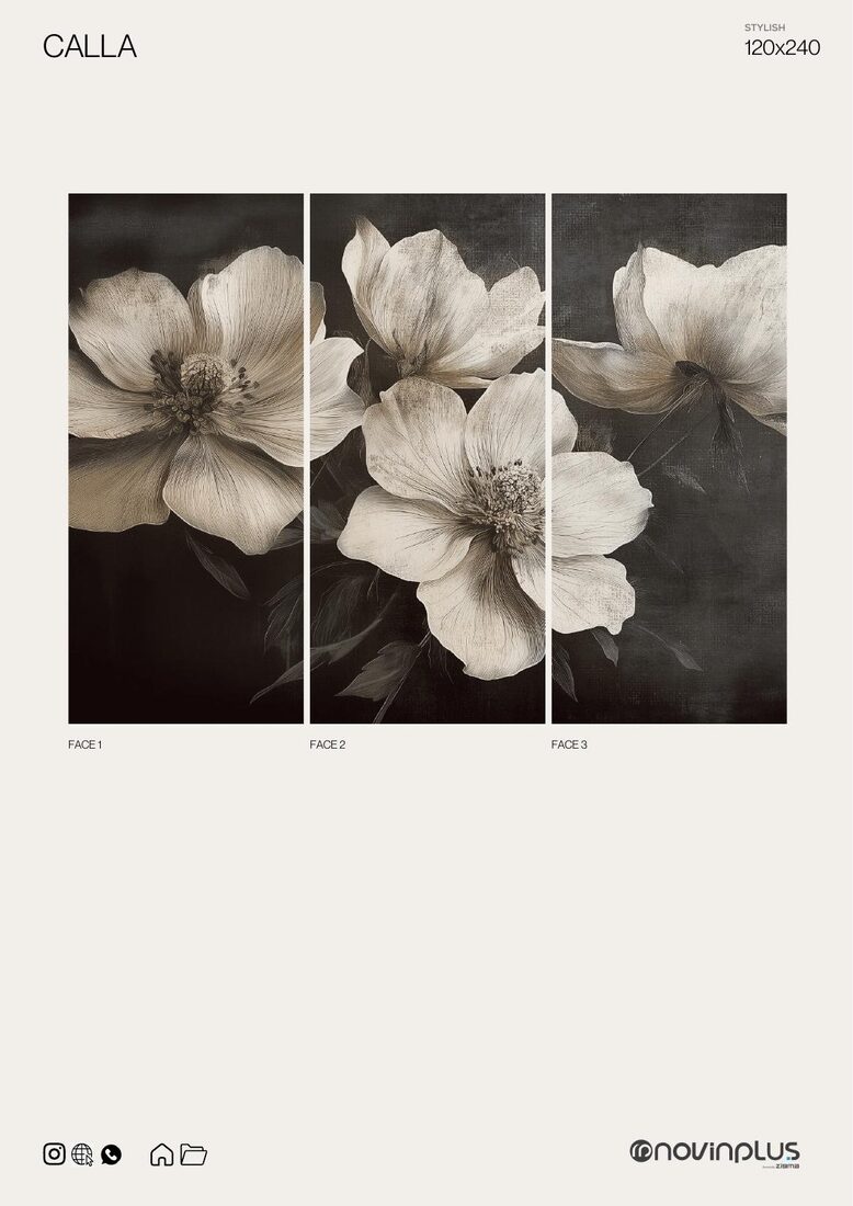 Calla