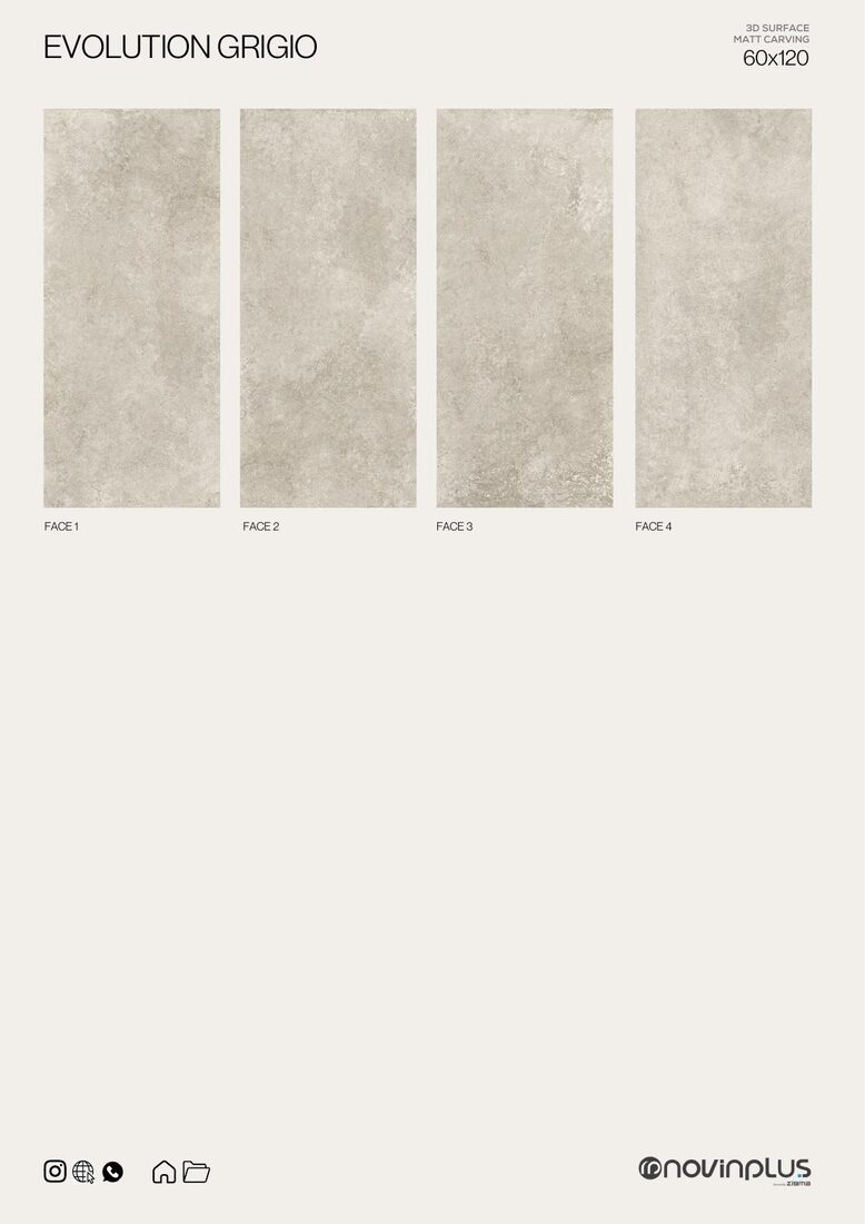 Evolution Grigio